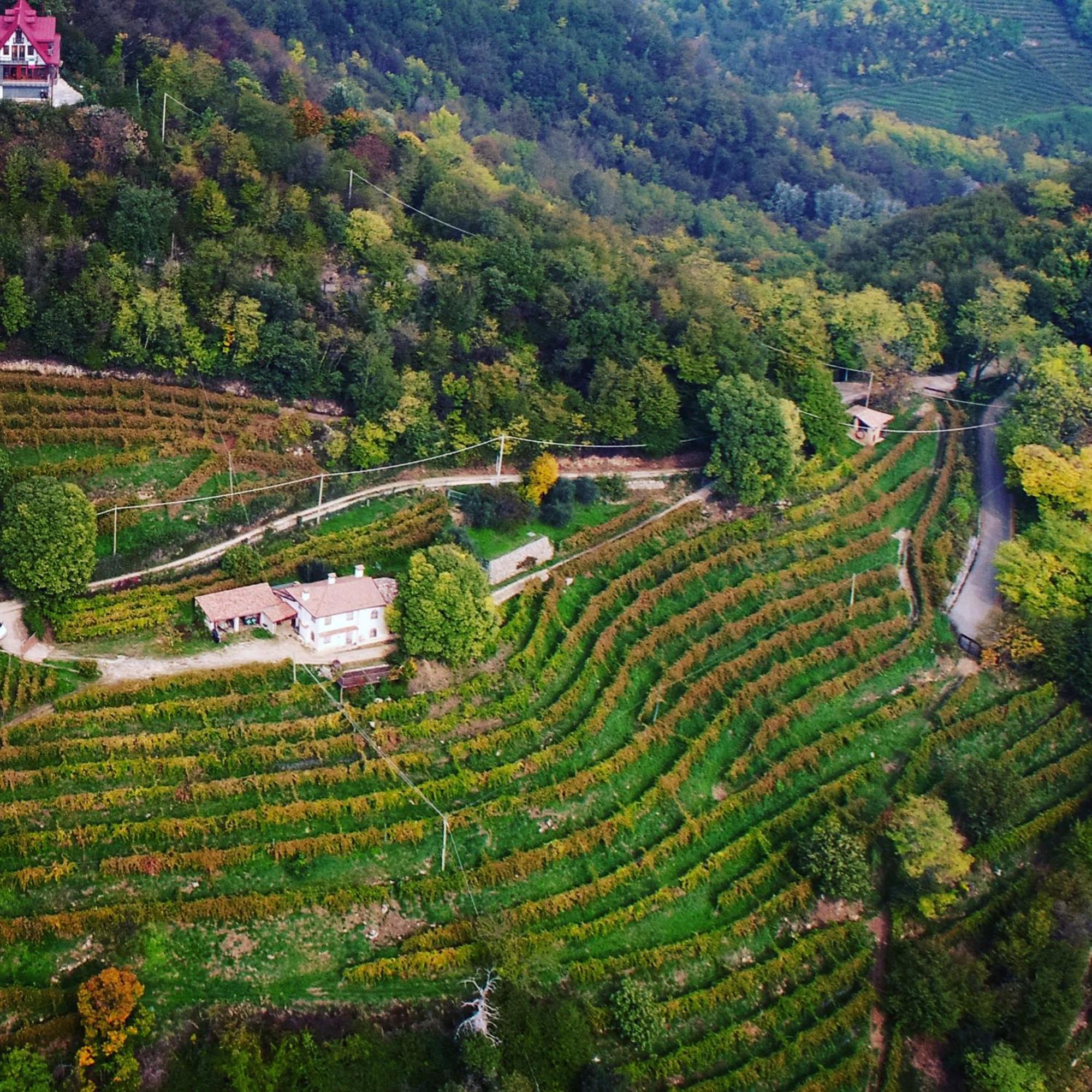 Rustico Costa D'Oro Vila Farra di Soligo Exterior foto